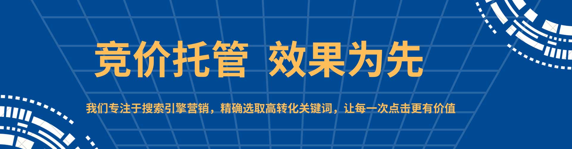 维西sem运营